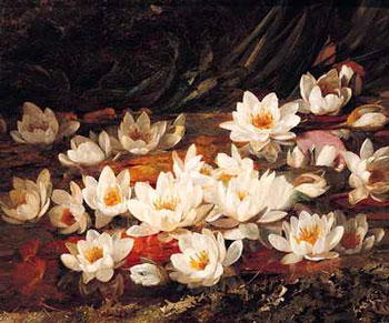 Water Lily - flower of Pisces