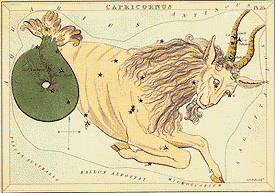 Capricorn - from the Box of Stars