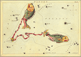 Pisces - from the Box of Stars