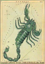 Scorpio - From the box of stars