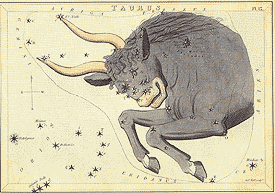 Taurus- from the Box of Stars