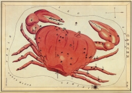 Aries image - Box of Stars